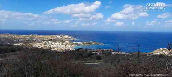 20221006_143230.jpg
